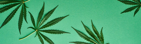 Das Cannabisgesetz in Deutschland