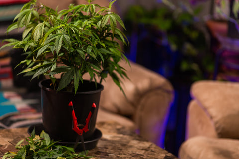 Was ist mit der 420.Hamburg Messe passiert?
