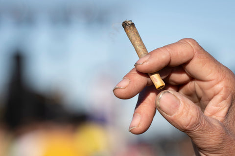 Cannabis und seine Wirkung: Das ist wahr, das nicht
